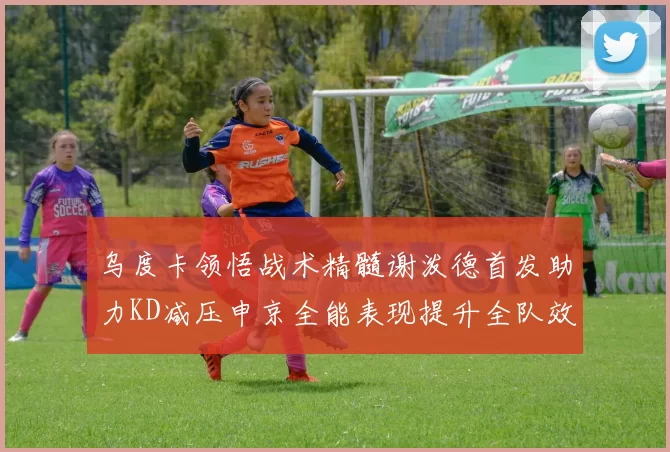 乌度卡领悟战术精髓谢泼德首发助力KD减压申京全能表现提升全队效率