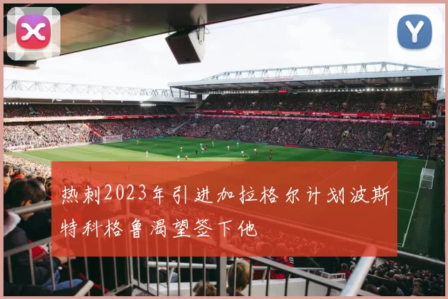热刺2023年引进加拉格尔计划波斯特科格鲁渴望签下他